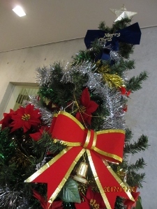 IMG_1703 (225x300).jpg